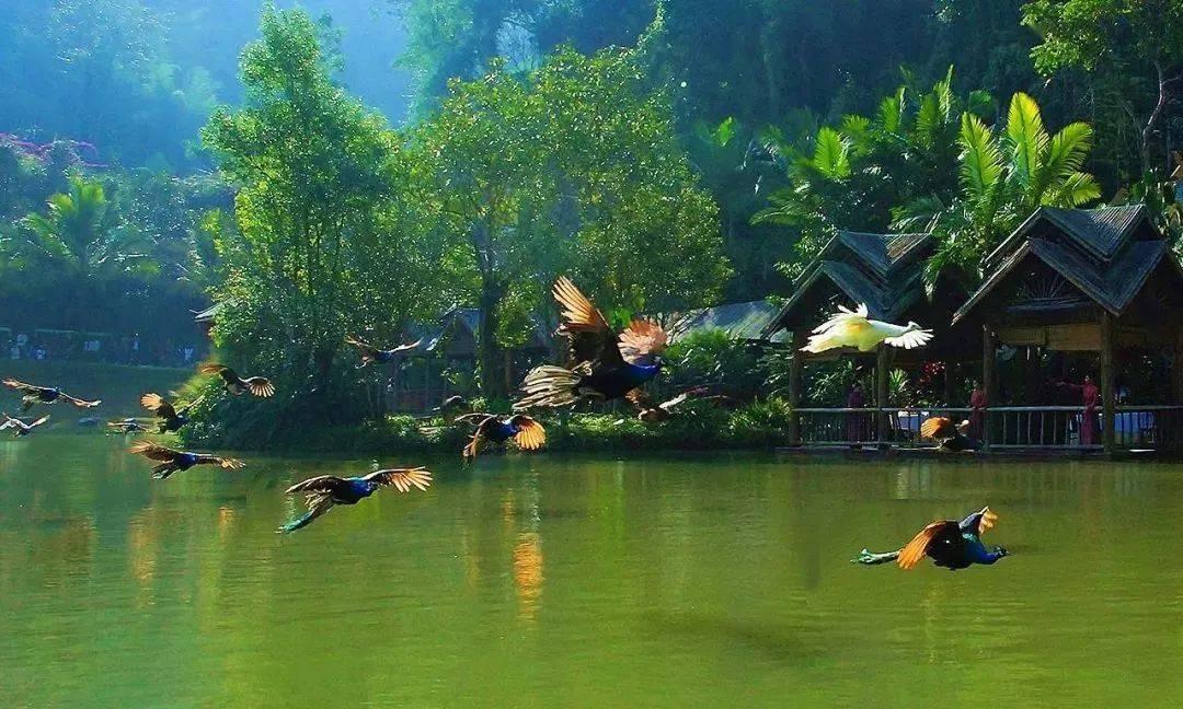 彩块跑酷
